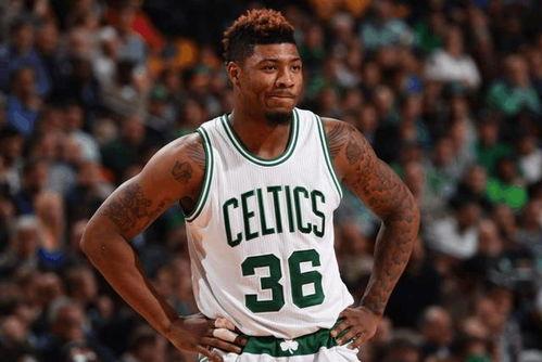 绿军粉丝爆料视频大全下载,精彩瞬间回顾与独家解读  第1张